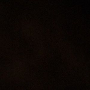 Meet your Posher, Rylee